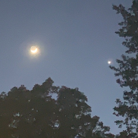 Belinda - Picture 4 of 5